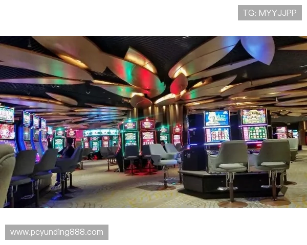 云顶赌场的组成部分详细解析以及各个赌场的运营模式和特色亮点