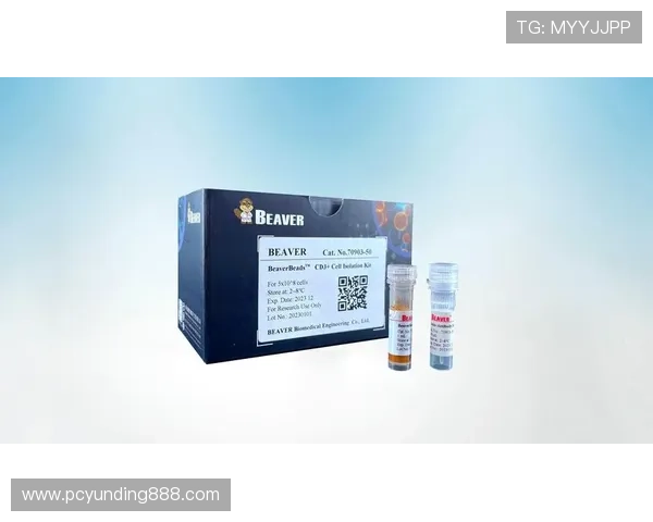 4008云顶集团品牌官网的安全保障措施与用户隐私保护策略详解，保障您的权益